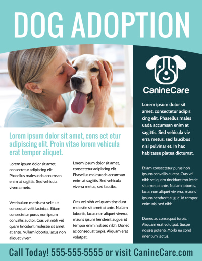 Dog Adoption   358ezj2jz3 Side 2 Image