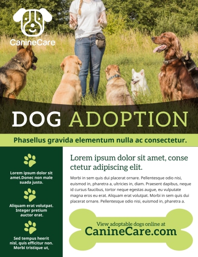Dog Adoption   i4h3grffvf Side 1 Image