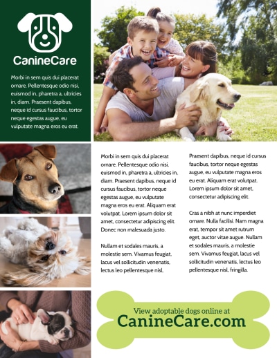 Dog Adoption   i4h3grffvf Side 2 Image