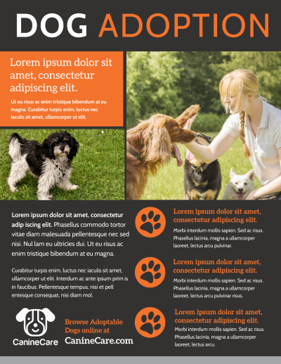 Dog Adoption   qk8goxzrr5 Side 1 Image