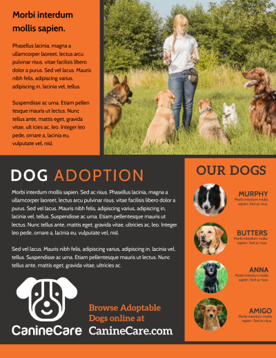 Dog Adoption   qk8goxzrr5 Side 2 Image