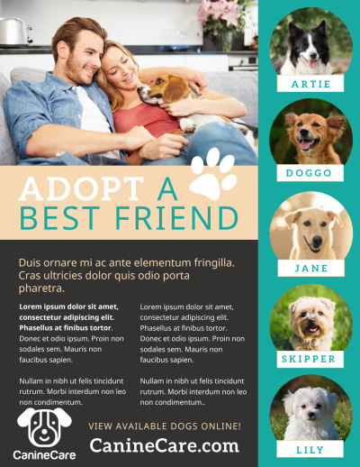 Dog Adoption   uhzpwggu82 Side 1 Image