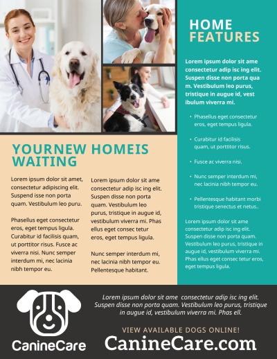 Dog Adoption   uhzpwggu82 Side 2 Image