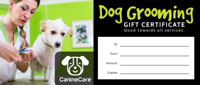 Dog Grooming   64mhh1vmi8 Side 1 Image