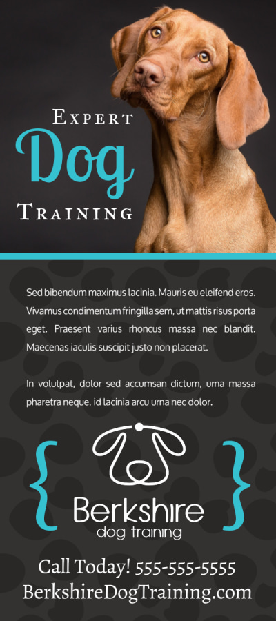 Dog Training   5nv7zr2ef4 Side 1 Image