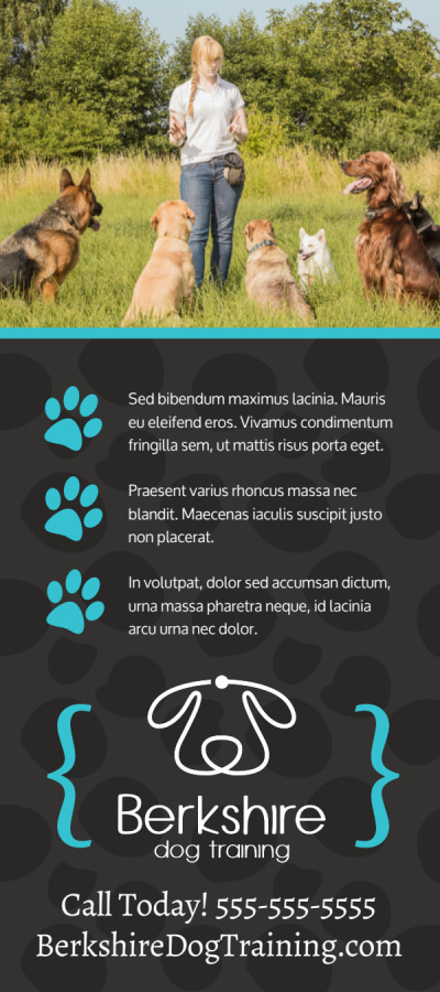 Dog Training   5nv7zr2ef4 Side 2 Image