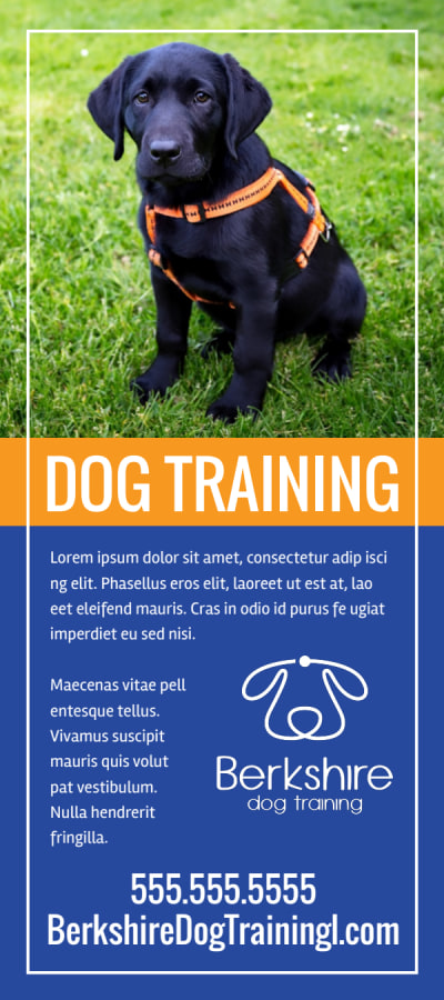 Dog Training   97wd2abp88 Side 1 Image