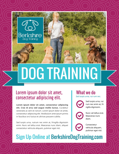 Dog Training   9bnzhlbnwi Side 1 Image