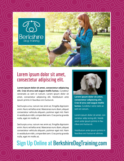 Dog Training   9bnzhlbnwi Side 2 Image
