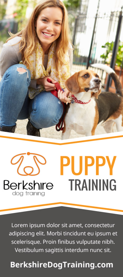 Dog Training   ex9juqdi0z Side 1 Image
