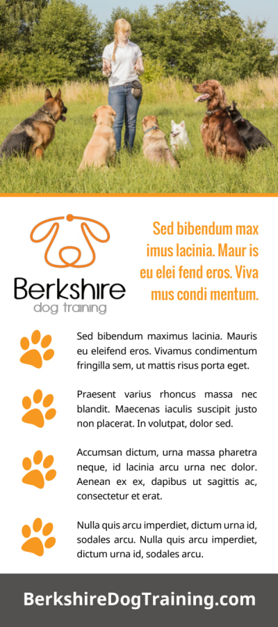 Dog Training   ex9juqdi0z Side 2 Image