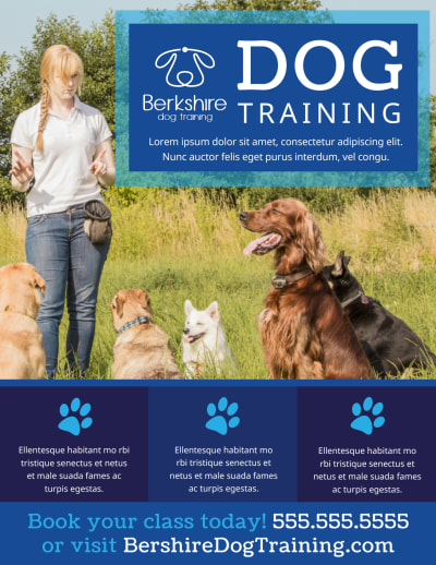 Dog Training   j7d19akjl6 Side 1 Image