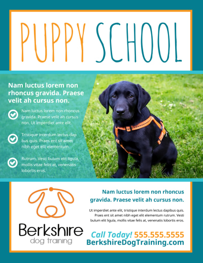 Dog Training   srxuarb8wb Side 1 Image