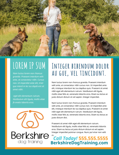 Dog Training   srxuarb8wb Side 2 Image