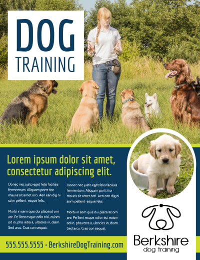 Dog Training   yaztpf5imx Side 1 Image