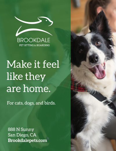 Pet Boarding   Side 1 Image