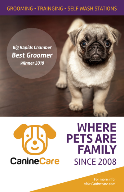 Pet Grooming Boutique   Side 1 Image