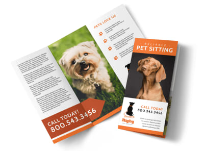Main Awesome Pet Sitting    Image