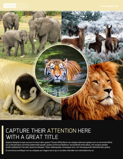 Wildlife Photography   Side 1 Image