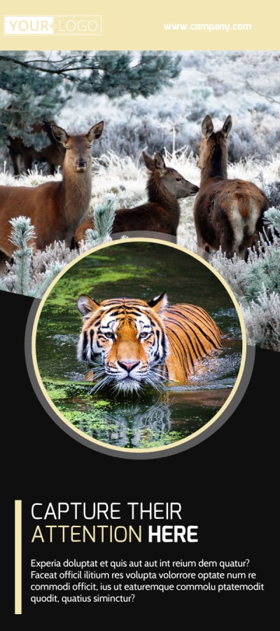 Wildlife Photography   Side 1 Image