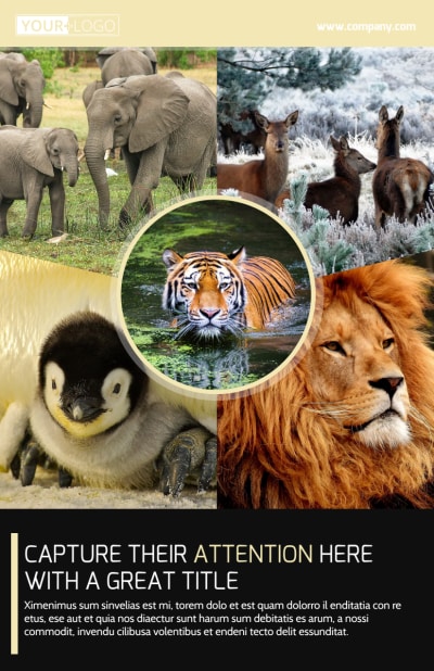 Wildlife Photography   Side 1 Image